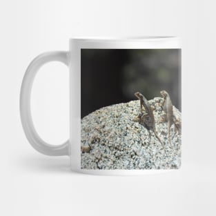 Wildlife gifts, reptiles, western fence lizard Mug